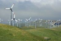 Renewables Start to Win Price War