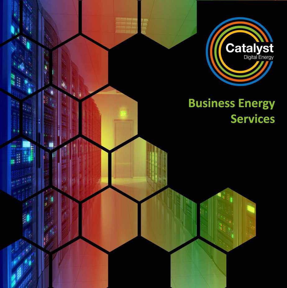 Business Energy Consultant