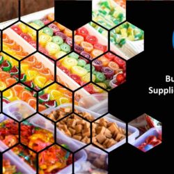 Business Energy Supplier Obligations