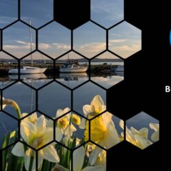 Mar24 business energy report