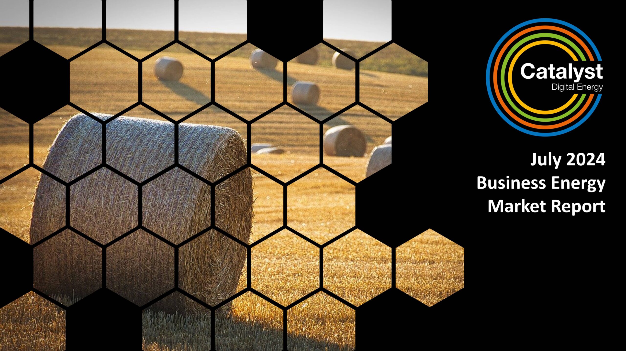 July 2024 Energy Market Brief