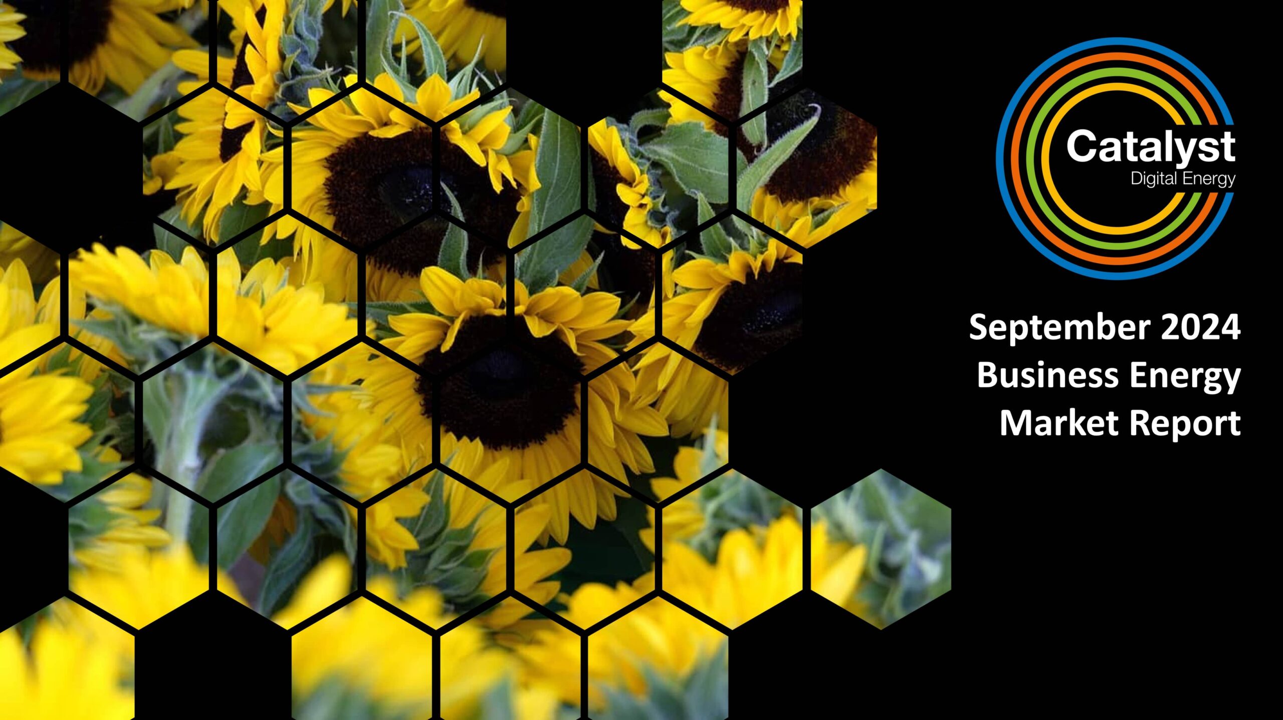 September 2024 Energy Market Brief