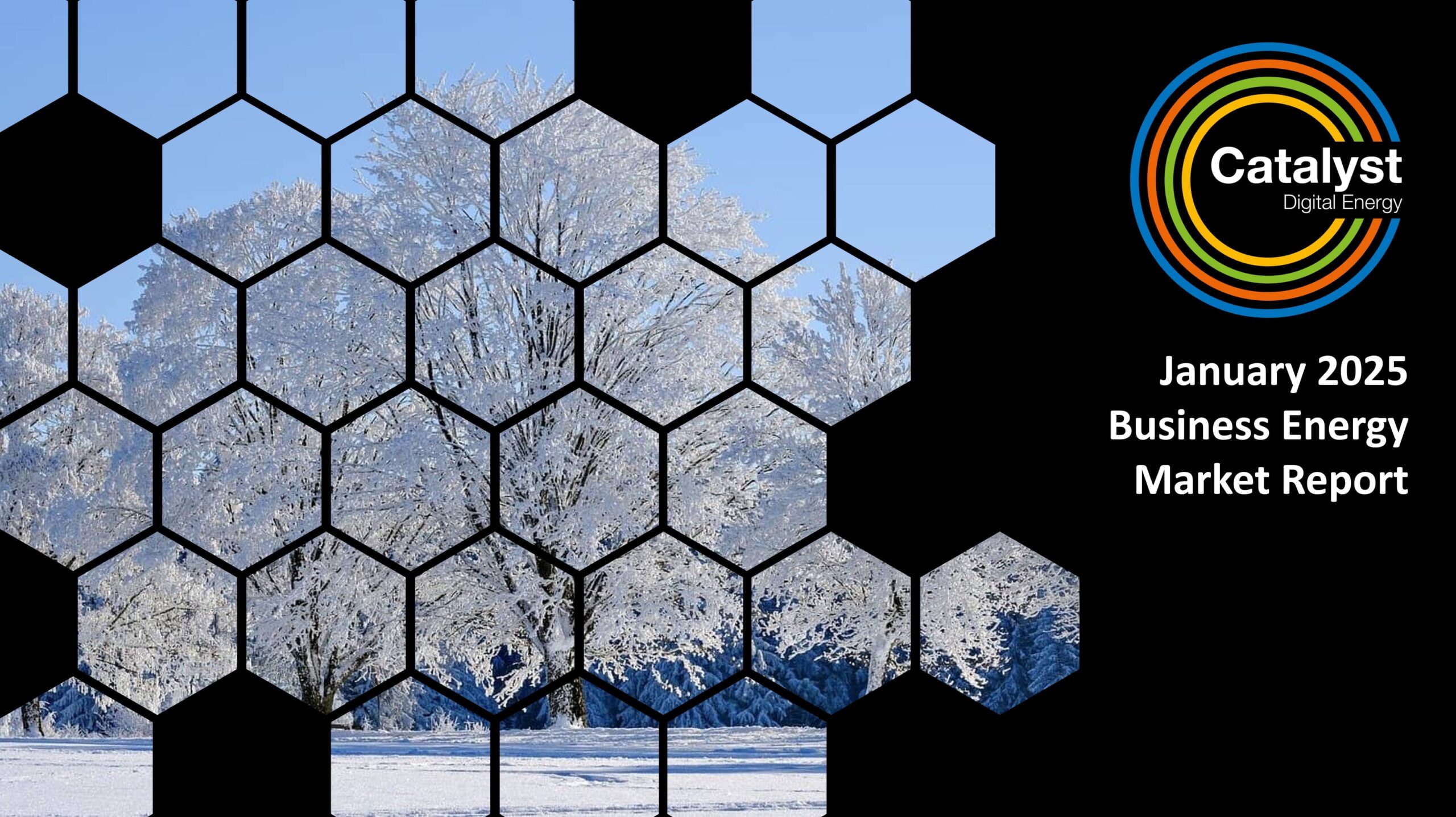 Jan25 Energy Market Brief