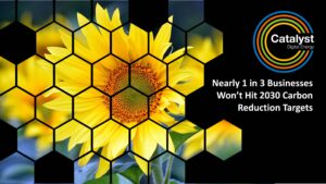 Nearly 1 in 3 Businesses Won’t Hit 2030 Carbon Reduction Targets