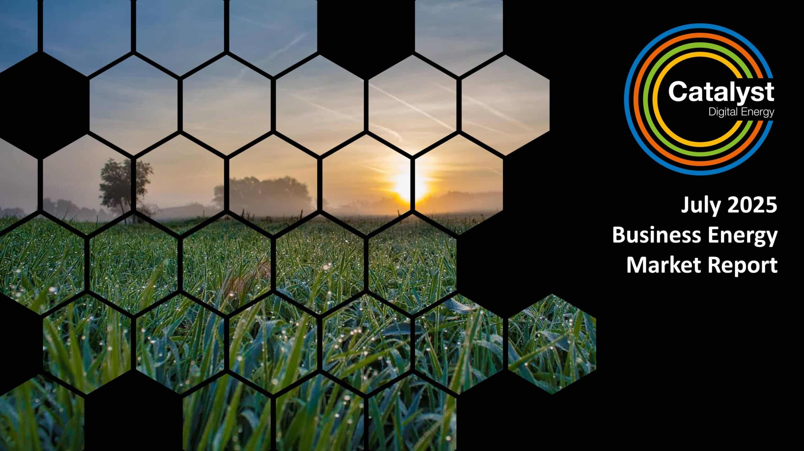 Jul25 Energy Market Brief Jul25 Energy Market Brief