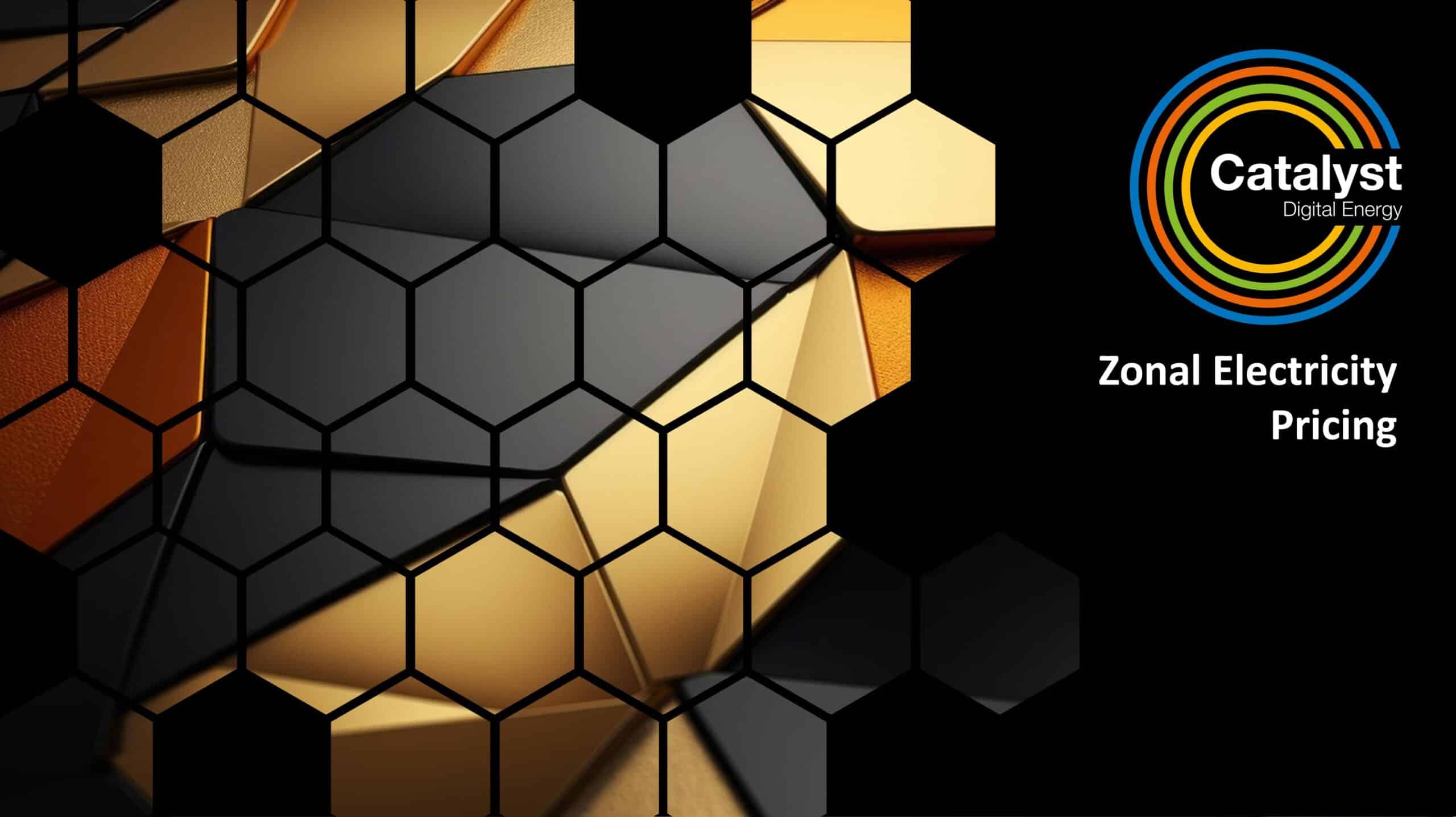 Zonal Pricing Zonal Pricing