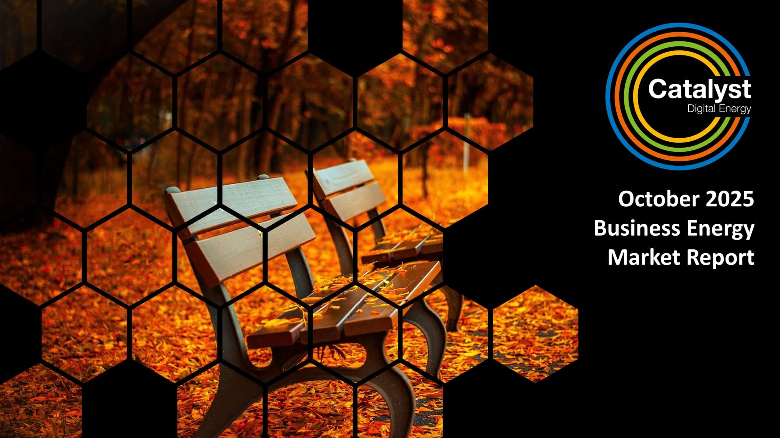 Oct25 Energy Market Brief