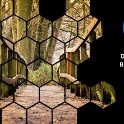 Dec25 Energy Market Brief