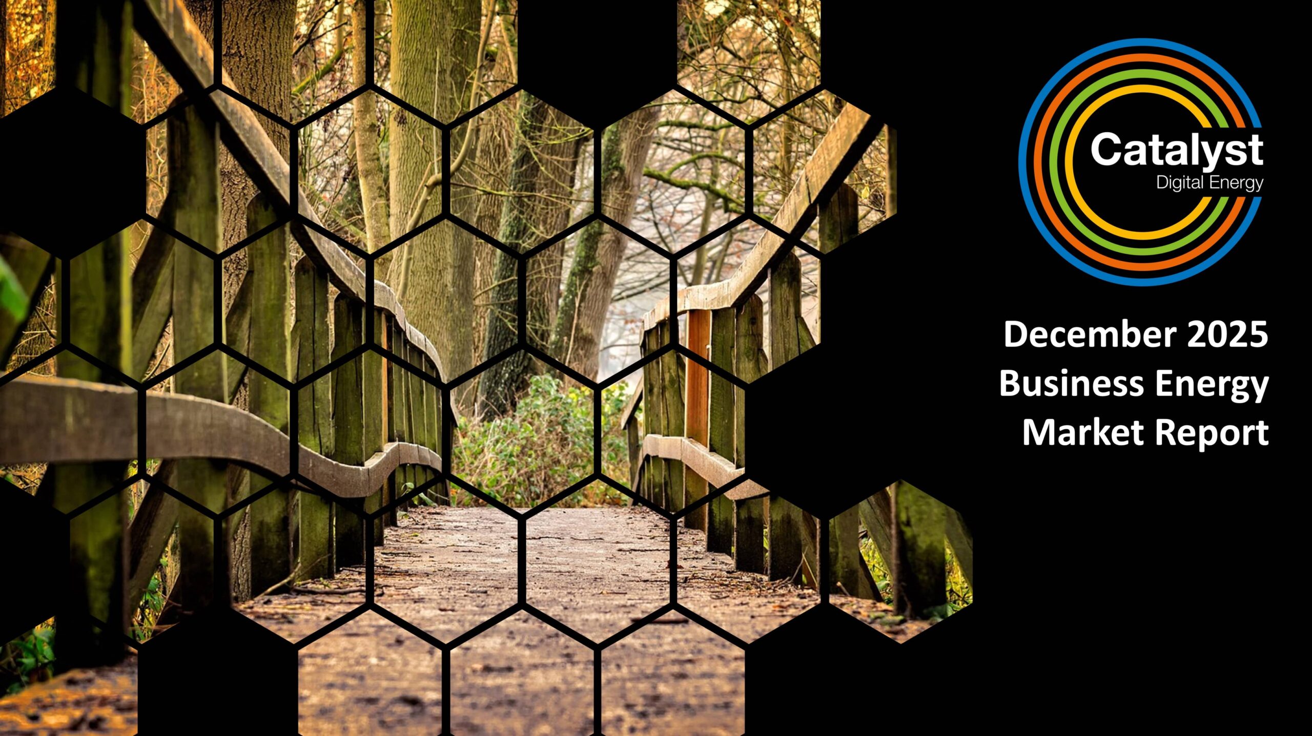 Dec25 Energy Market Brief