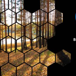 Mar26 Energy Market Brief