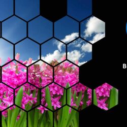 Apr26 Energy Market Brief