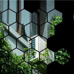 Energy Efficiency Standard
