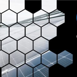 Net Zero for SMEs