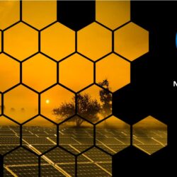 Net Zero Roadmap