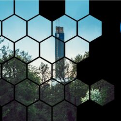 Carbon Voluntary Market