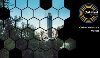 Carbon Voluntary Market