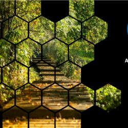 Achieving Net Zero