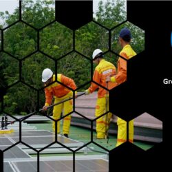 Green Skills Outlook
