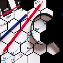 Carbon Reporting Services