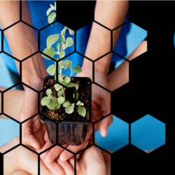 Sustainability