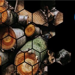Biomass Boilers