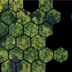 Carbon Offsetting