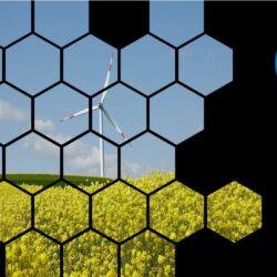 Carbon Offsetting for UK Businesses