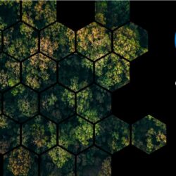 Carbon Reduction Plans