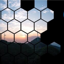 Carbon Reporting
