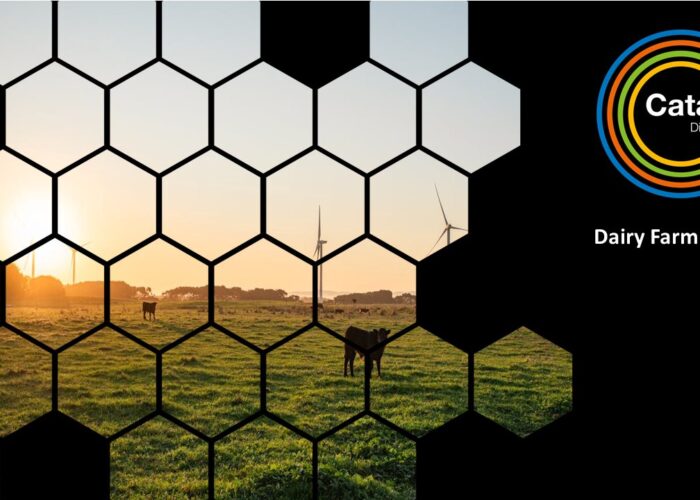 Organic Dairy Farm - Energy Solutions