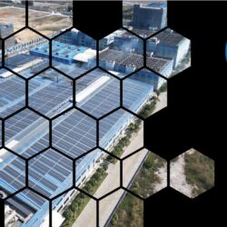 Business Solar Panels