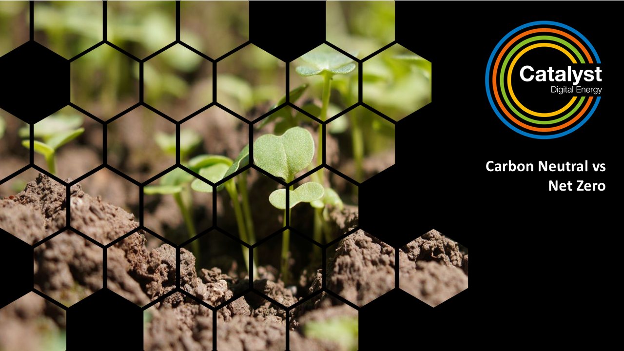 carbon neutral vs net zero
