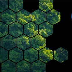 Carbon reporting for tenders from Catalyst and EaaSi Carbon