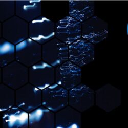 Catalyst website terms of use