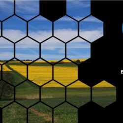Energy Baskets Explained