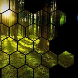 How to Become a Carbon Neutral Business