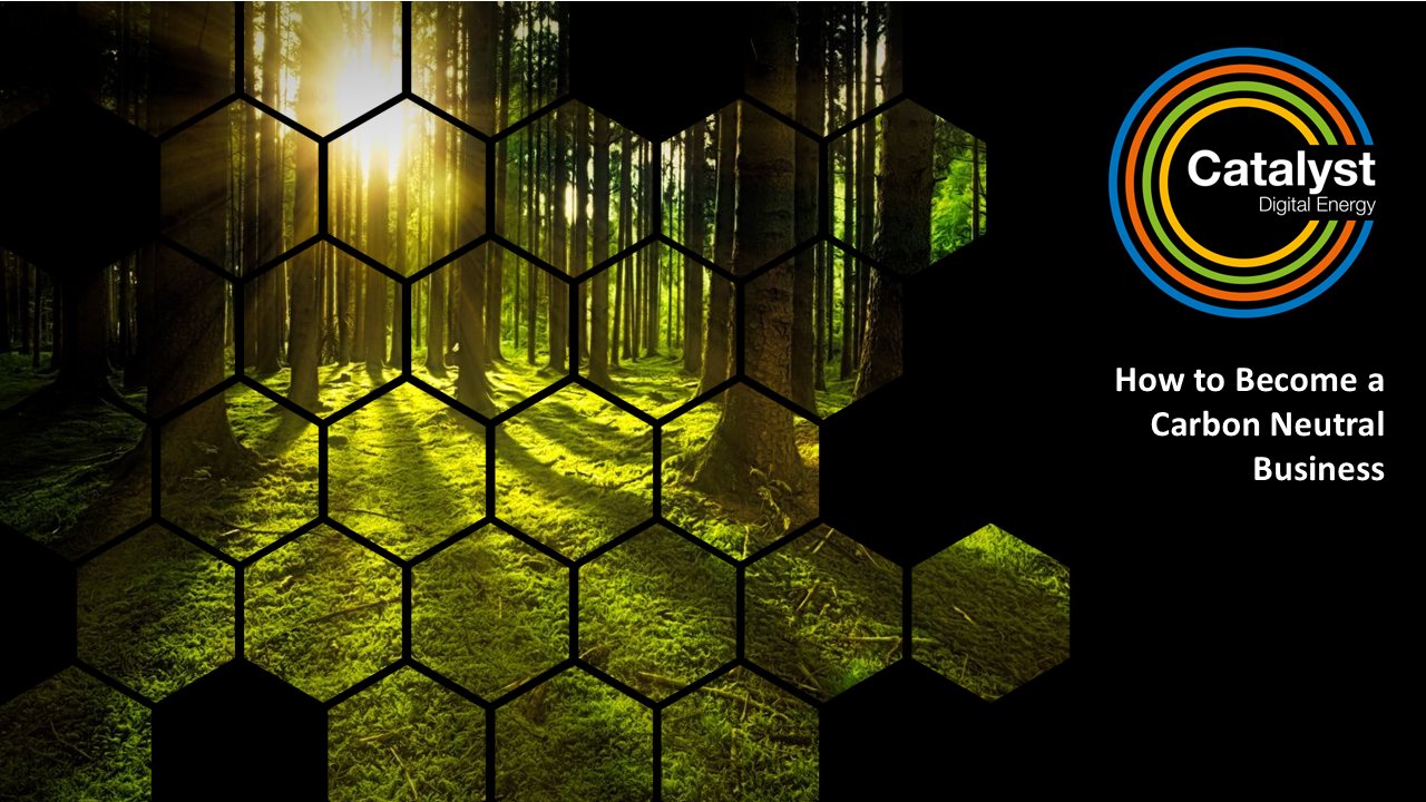 how-to-become-carbon-neutral-business-banner How to Become a Carbon Neutral Business