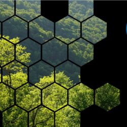 reduce carbon footprint business