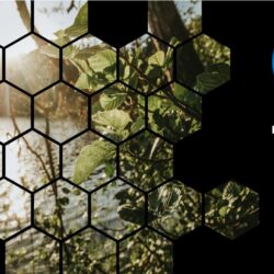 Battery-Free Solar Fuel