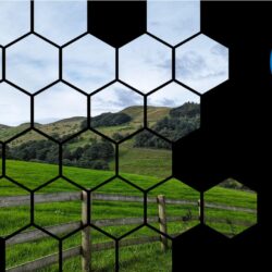 weekly-energy-market-report-16-20-jun-2026