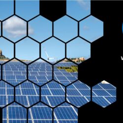 what is a net zero business
