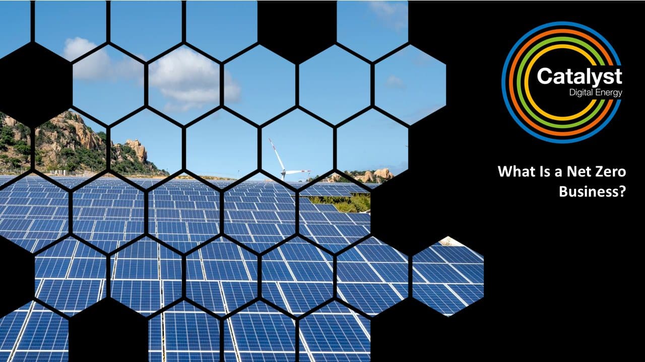 what is a net zero business