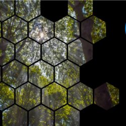 Carbon Neutral Business Certification