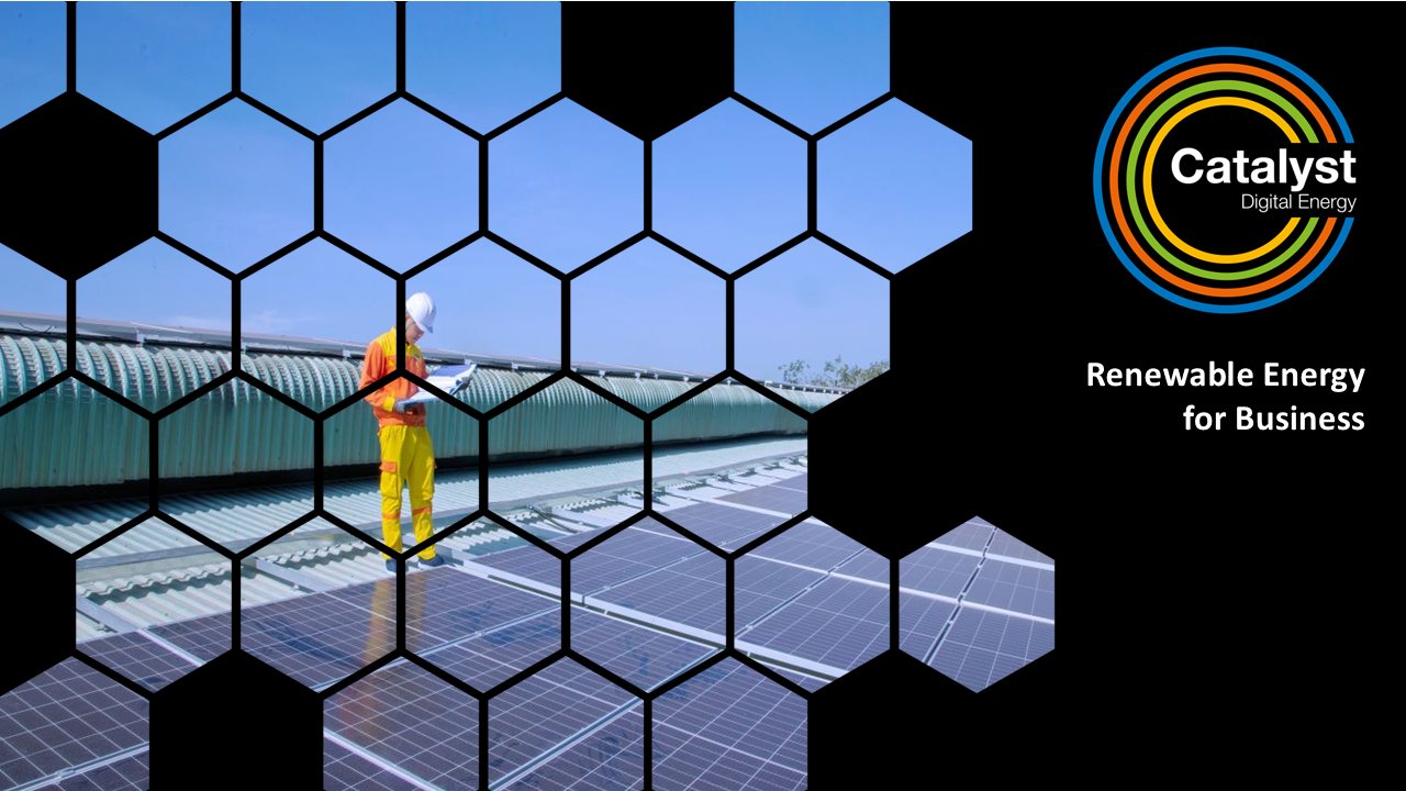 Renewable Energy for Business